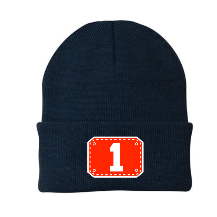 Nashua Passport Stype Winter Beanie - NFD